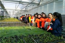 beat365官网第三期青马班走进蒙草·草博园开展生态环保教育