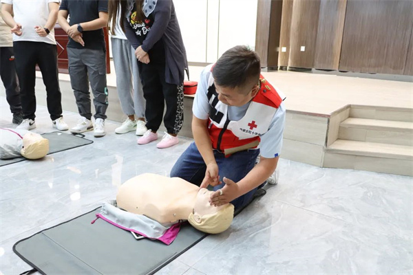 1686544716743115.jpg 10.jpg