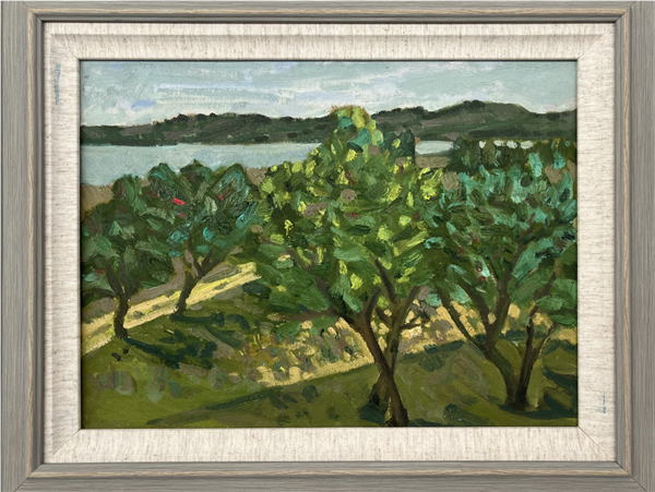 1701167352815323.png mtxx09.png