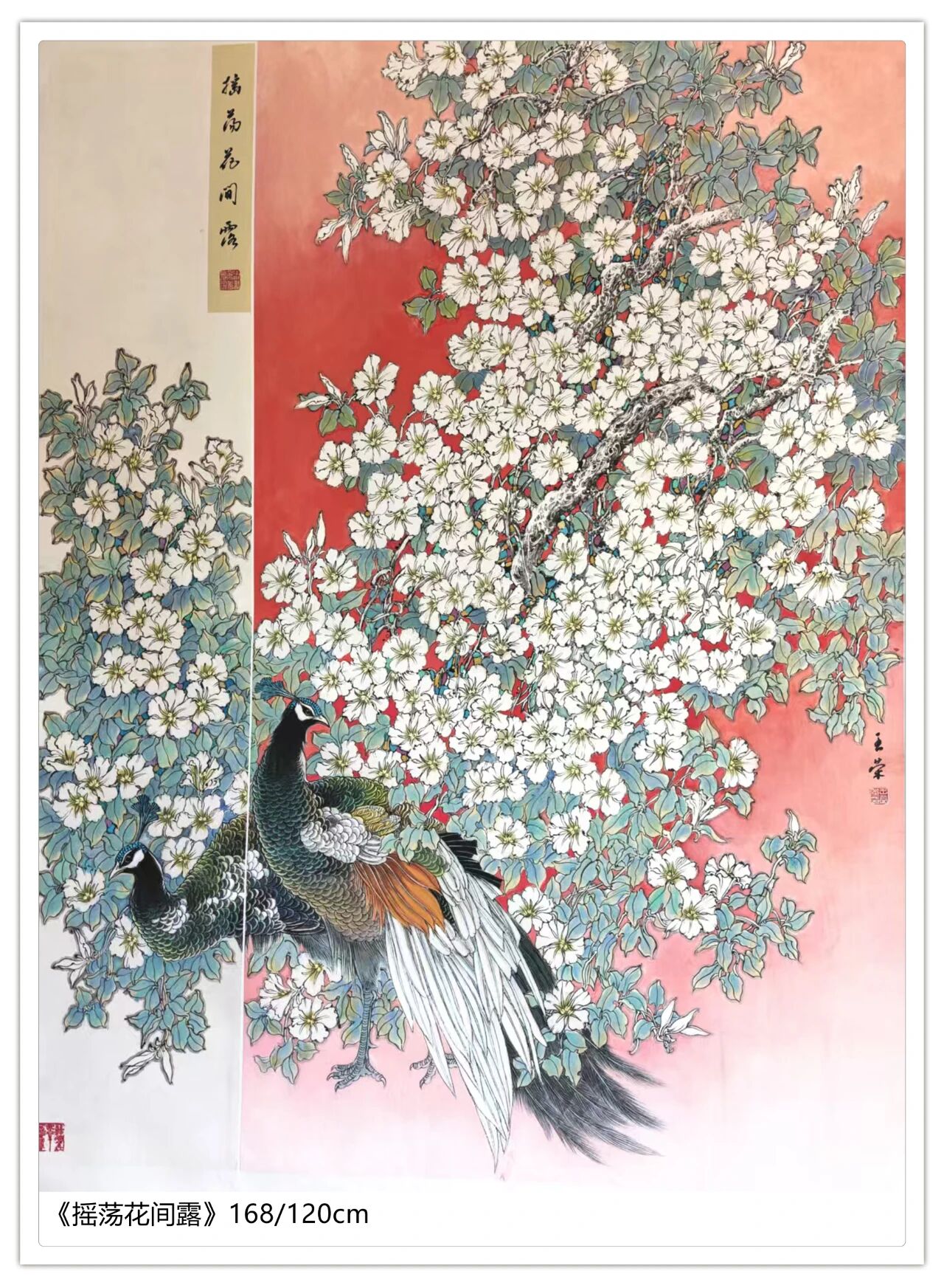 1761613748309269.jpg 1761613748309269.jpg