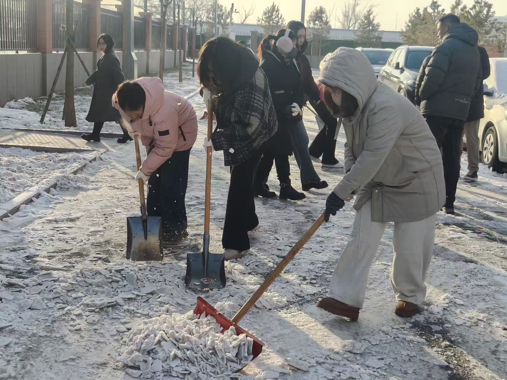 1765856294860549.jpg 1765856294860549.jpg