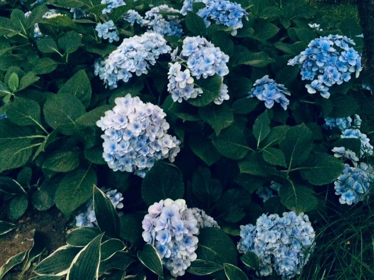 1766393069132025.png 1766393069132025.png