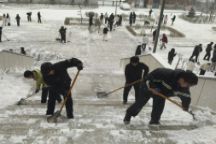 beat365官网学工部成功组织学生组织齐心除雪