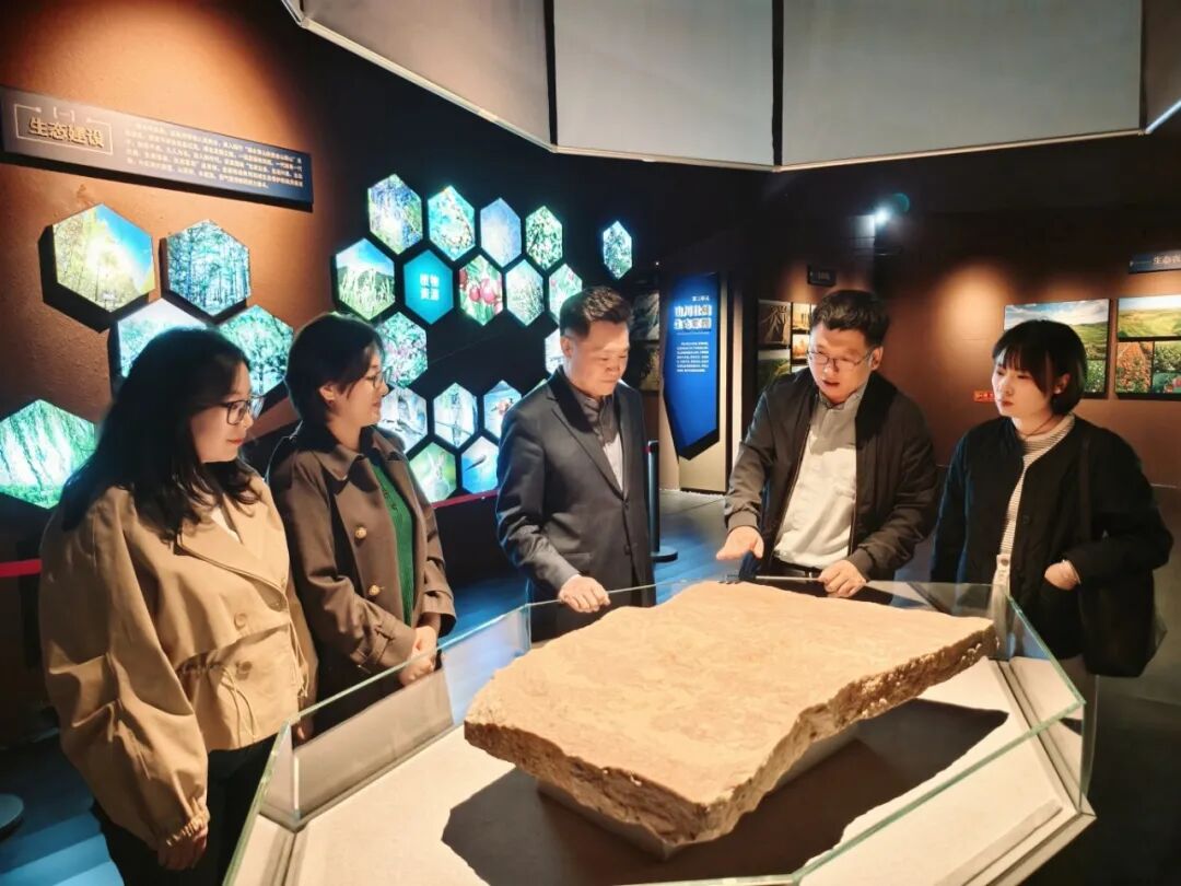 1775177470479503.jpg 1775177470479503.jpg