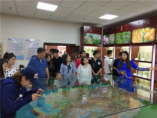 师生参观自治区蒙医药博物馆.jpg
