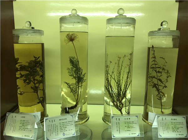 参观蒙医药博物馆.png